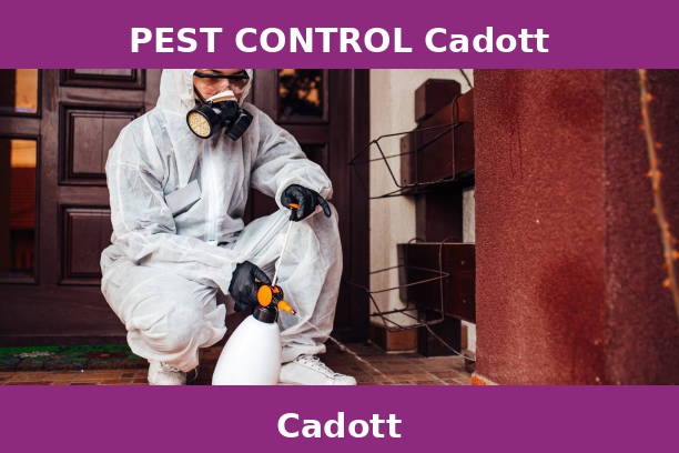 PEST CONTROL Cadott
